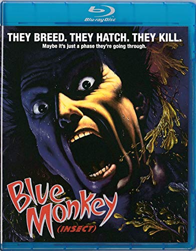 BLUE MONKEY (AKA INSECT) - BLU
