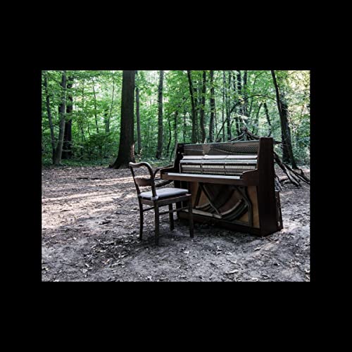 THE EYE OF TIME - ACOUSTIC II (CD)