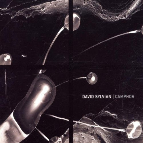 SYLVIAN, DAVID - CAMPHOR