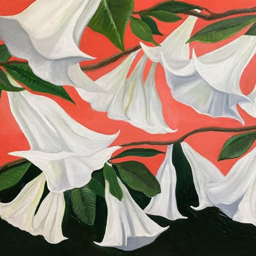 DANNY GEORGE WILSON - ANOTHER PLACE (CD)