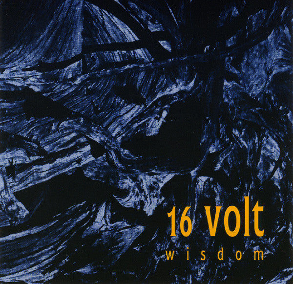 16 VOLT - WISDOM