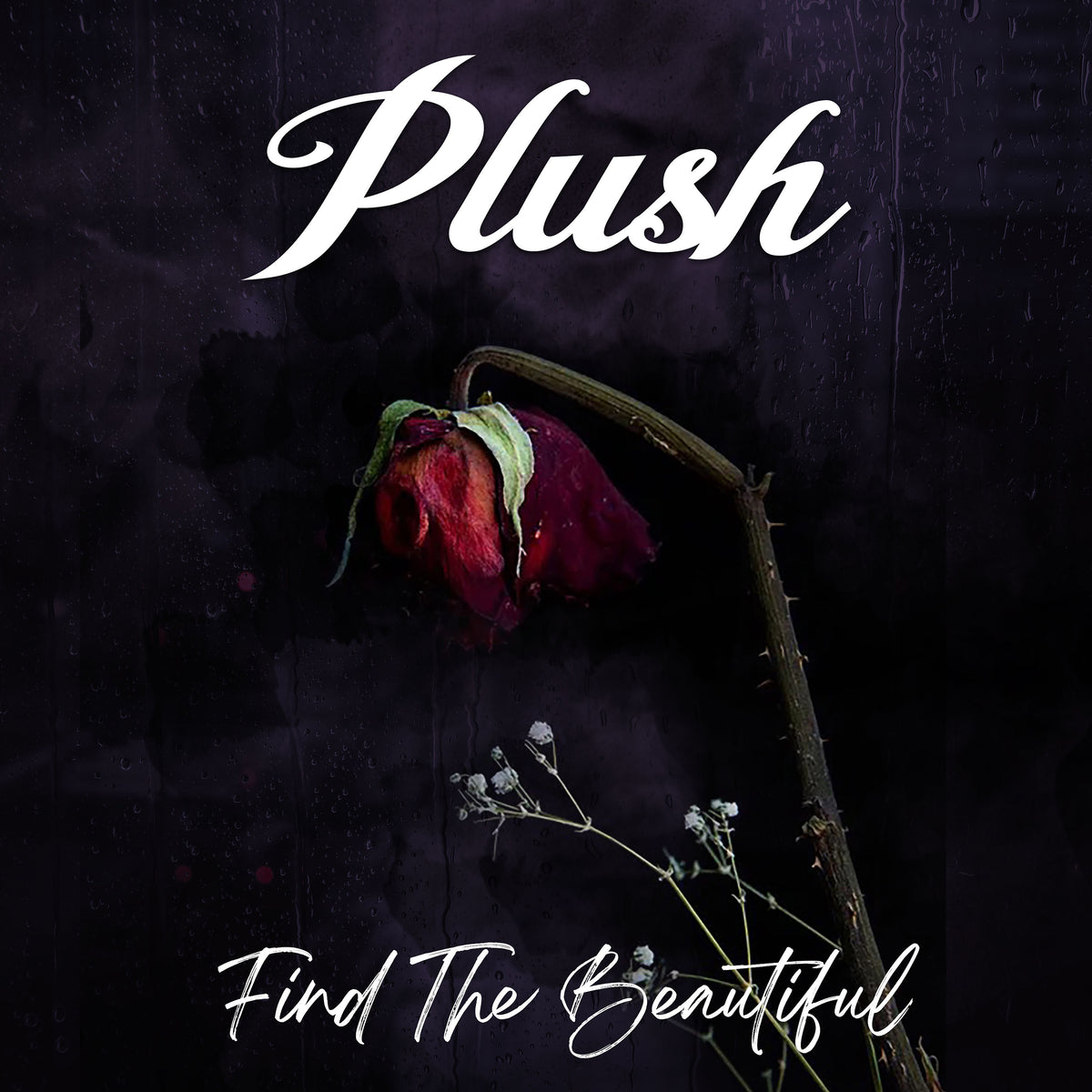 PLUSH - FIND THE BEAUTIFUL