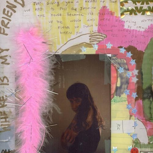 WEDNESDAY - I WAS TRYING TO DESCRIBE YOU TO SOMEONE (VINYL)