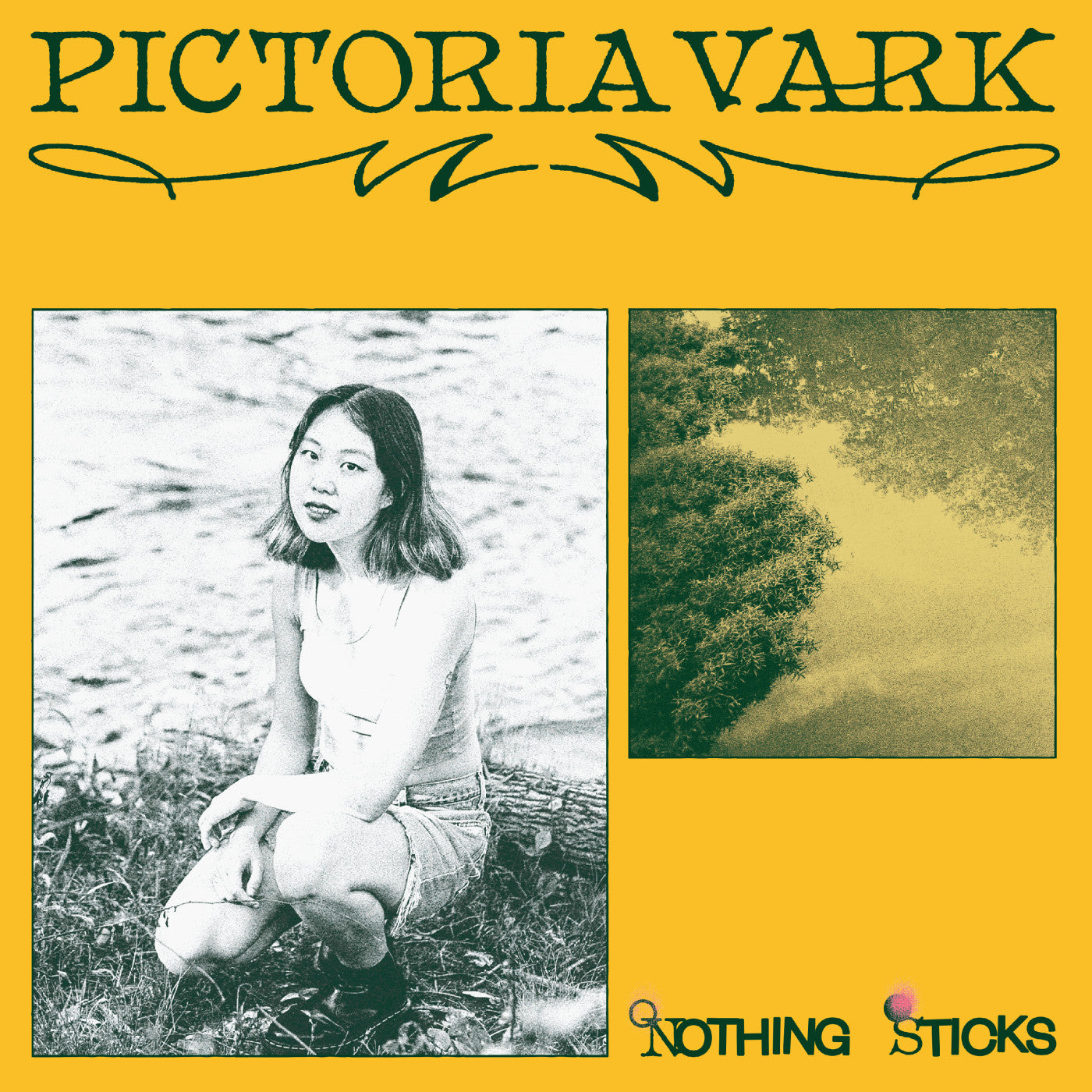 PICTORIA VARK - NOTHING STICKS