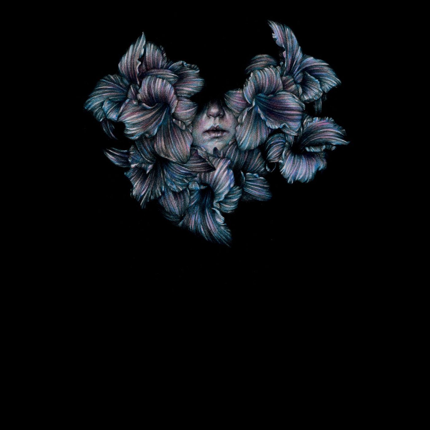 A LOT LIKE BIRDS - DIVISI