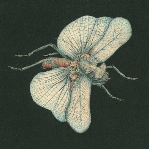 SUSANNA SONATA - GO DIG MY GRAVE (CD)