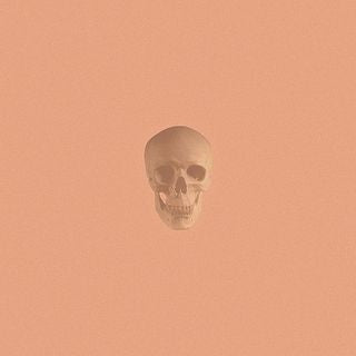 POMEGRANATES - ONE OF US