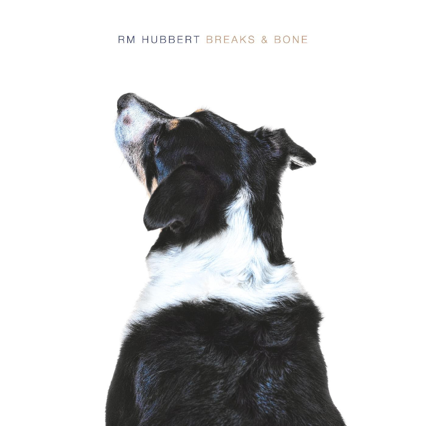 HUBBERT, RM - BREAKS & BONE
