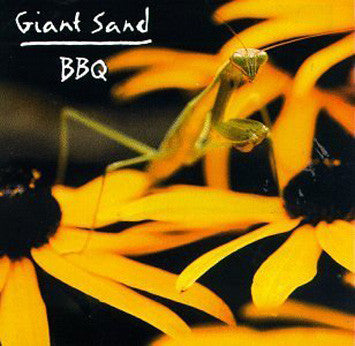 GIANT SAND - BACKYARD BARBECUE BROADCAST