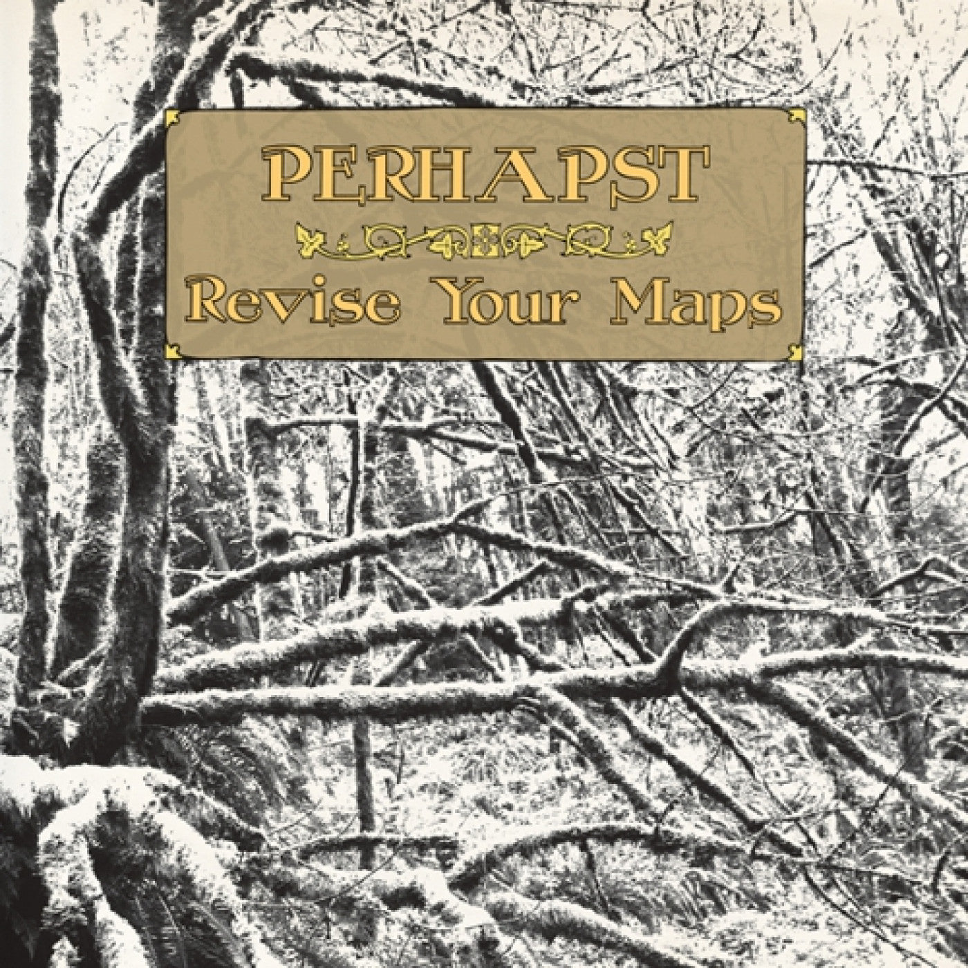 PERHAPST - REVISE YOUR MAPS