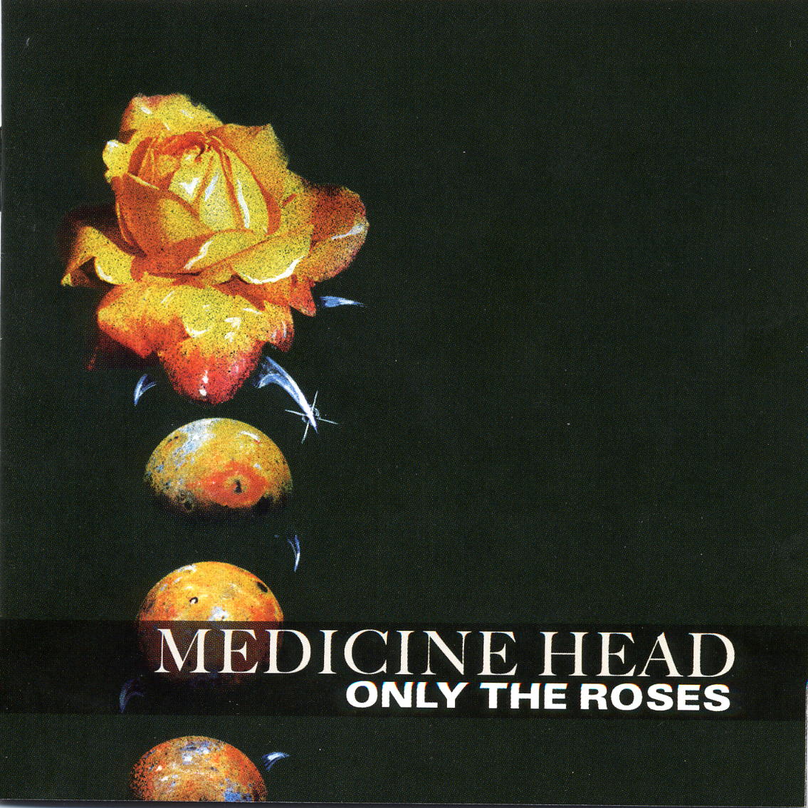 MEDICINE HEAD - ONLY THE ROSES