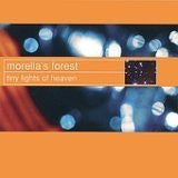 MORELLA'S FOREST - TINY LIGHTS OF HEAVEN