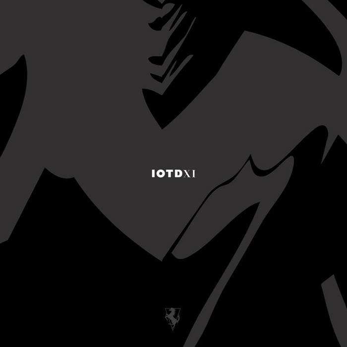 VARIOUS - IOTDXI (2CDS)