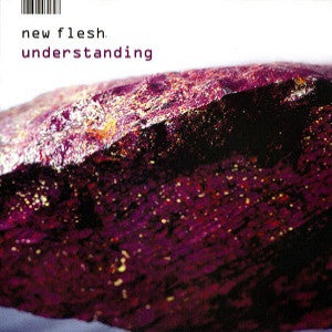 NEW FLESH - UNDERSTANDING