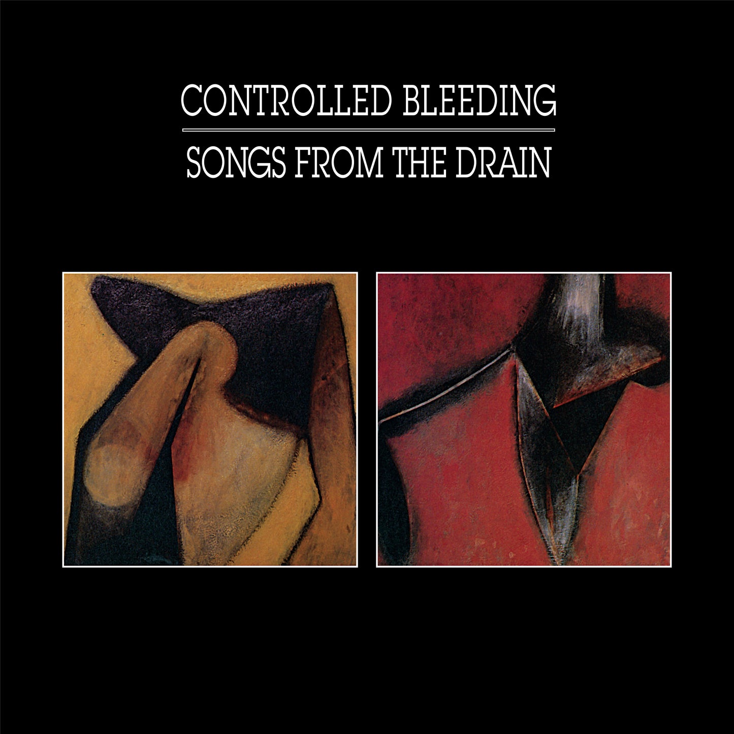 CONTROLLED BLEEDING - SONGS FROM THE DRAIN