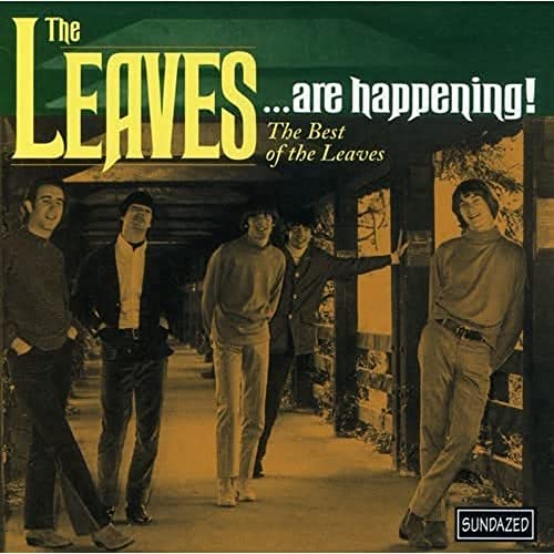 THE LEAVES - ... ARE HAPPENING: THE BEST OF (CD)