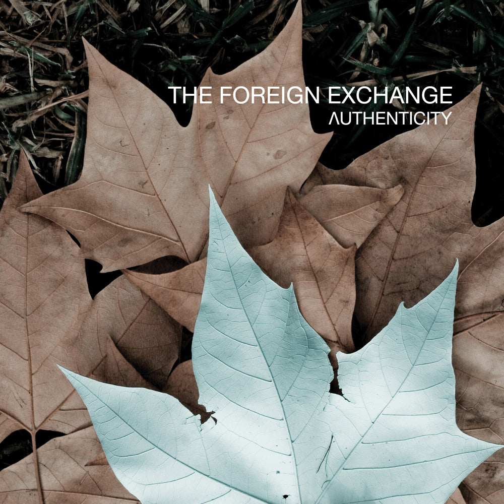 FOREIGN EXCHANGE - AUTHENTICITY