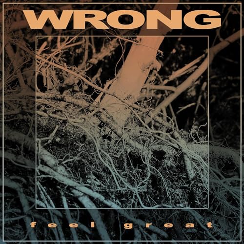WRONG - FEEL GREAT (CD)