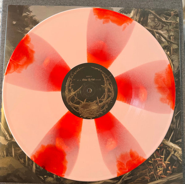 Accia Strain - Failure Will Follow (Lobster Bisque) (Used LP)