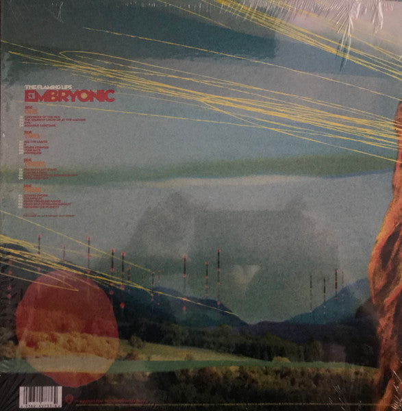 Flaming Lips - Embryonic (Used LP)
