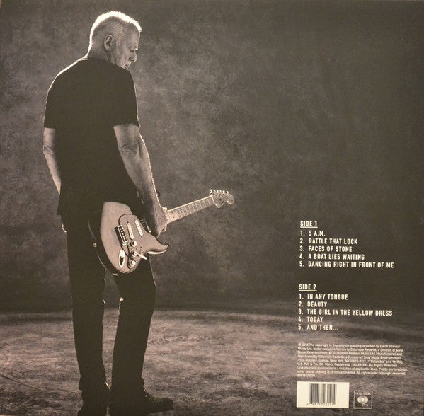 David Gilmour - Rattle That Lock (Used LP)