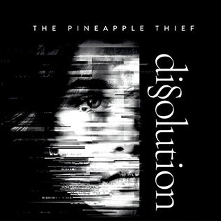 PINEAPPLE THIEF - DISSOLUTION