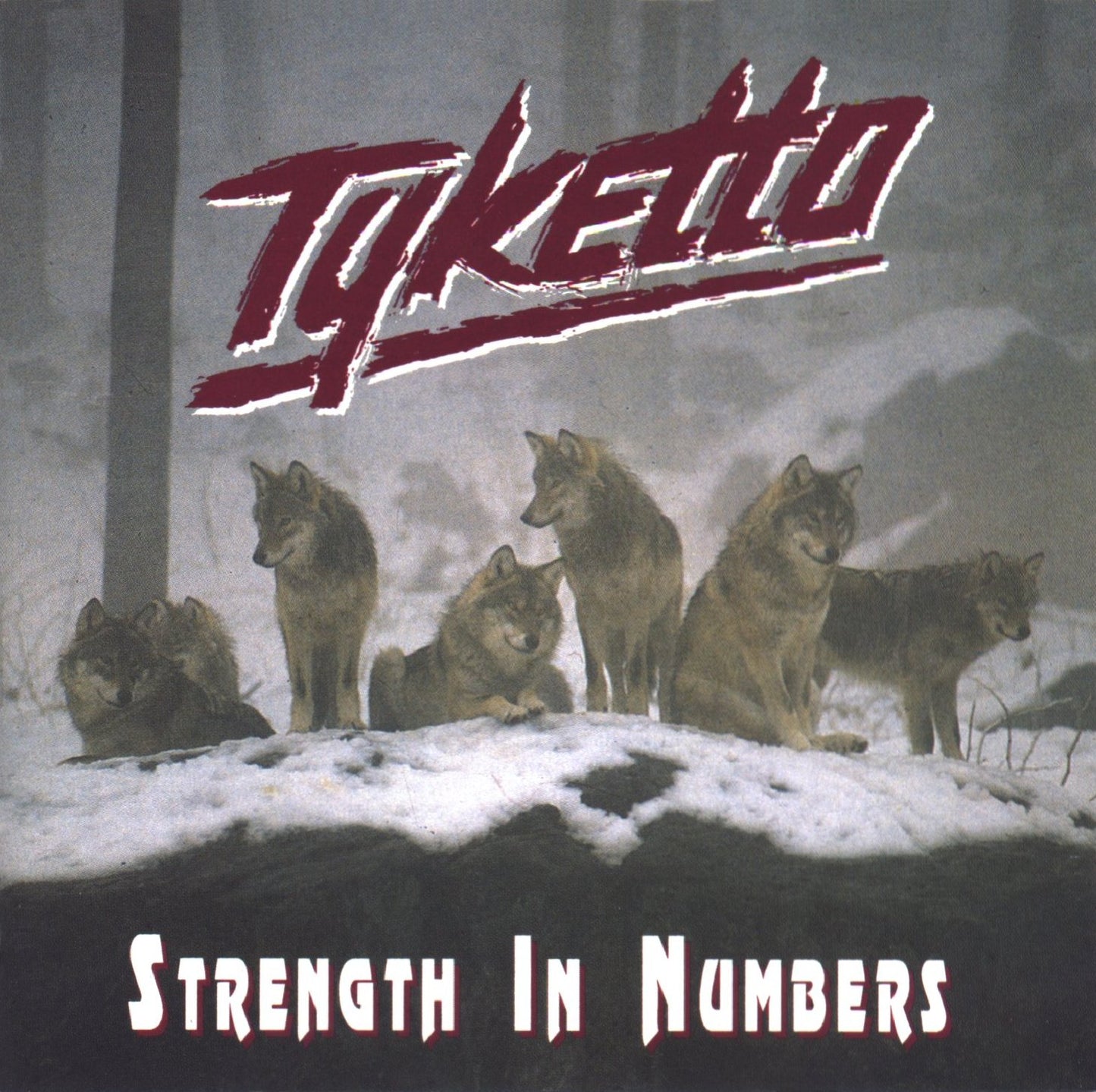 TYKETTO - STRENGTH IN NUMBERS