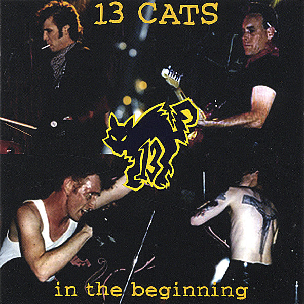13 CATS - IN THE BEGINNING