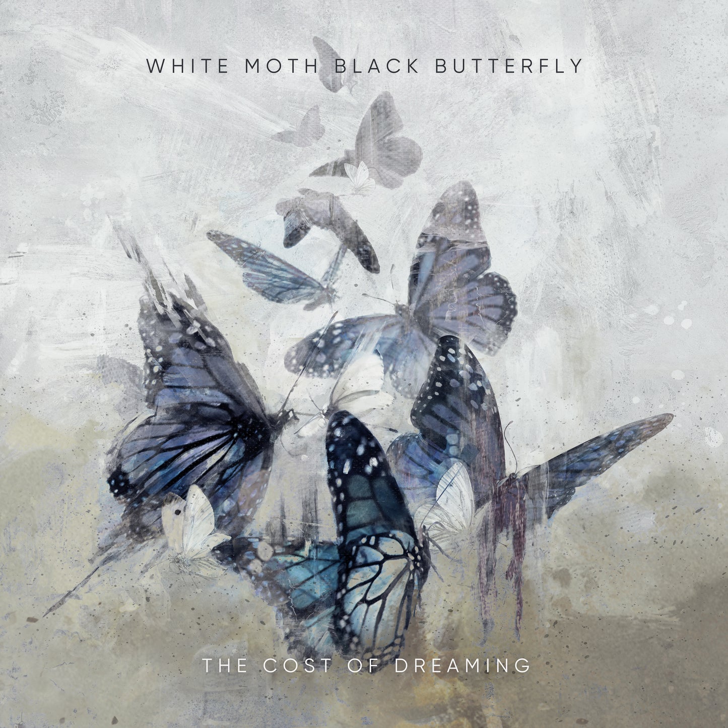 WHITE MOTH BLACK BUTTERFLY - COST OF DREAMING