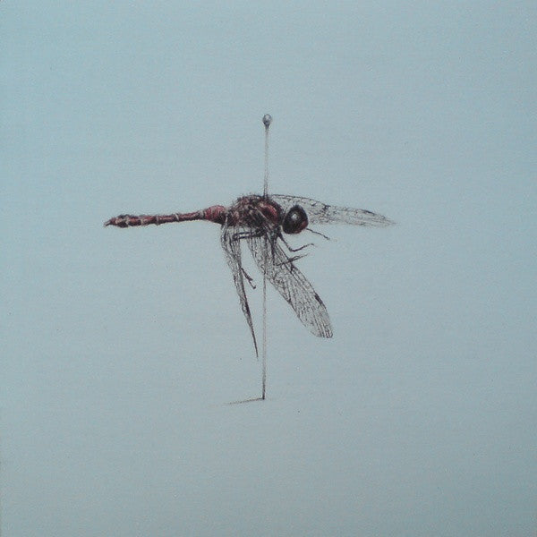 WARM WIDOW - WIDOWER