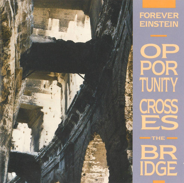 FOREVER EINSTEIN - OPPORTUNITY CROSSES THE BRIDGE