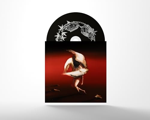 MARUJA - PAIN TO POWER (CD)