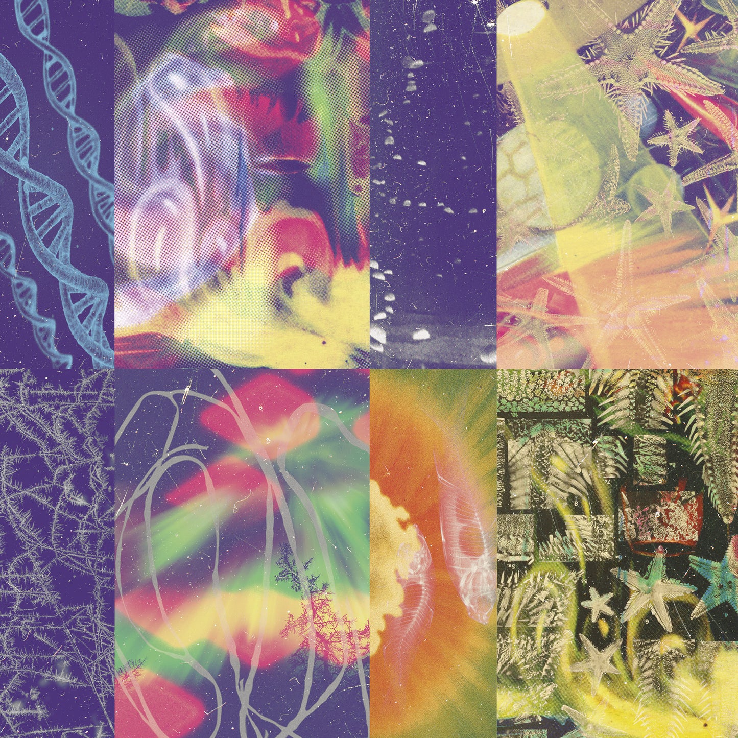 NAP EYES - NEON GATE