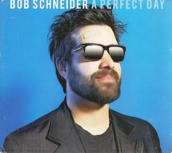 SCHNEIDER, BOB - A PERFECT DAY
