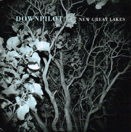 DOWNPILOT - NEW GREAT LAKES
