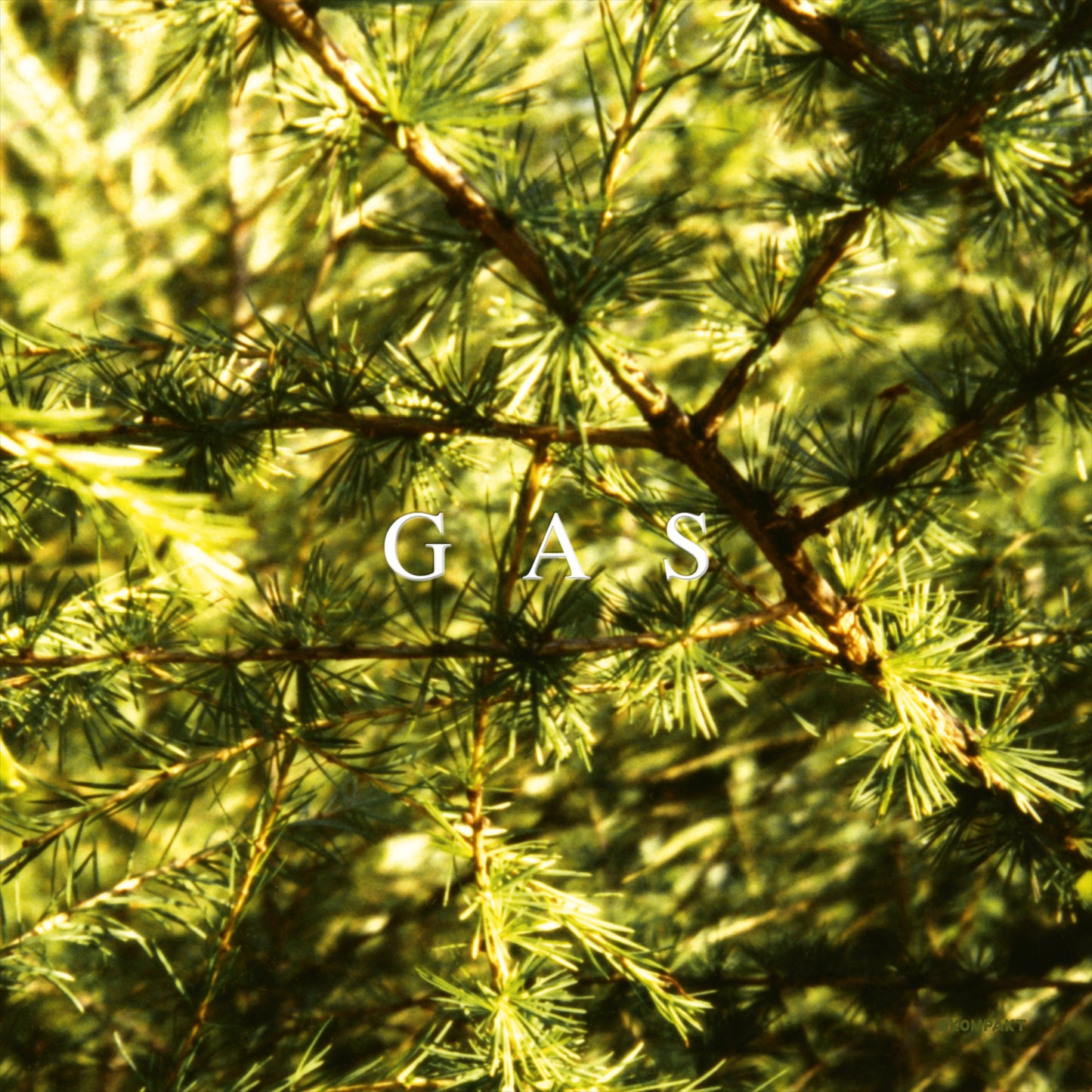GAS - POP