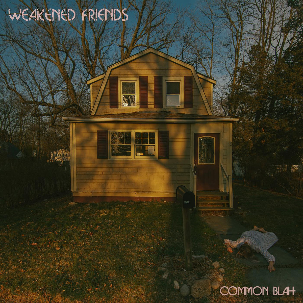 WEAKENED FRIENDS - COMMON BLAH