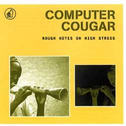 COMPUTER COUGAR - ROUGH NOTES ON HIGH STRESS