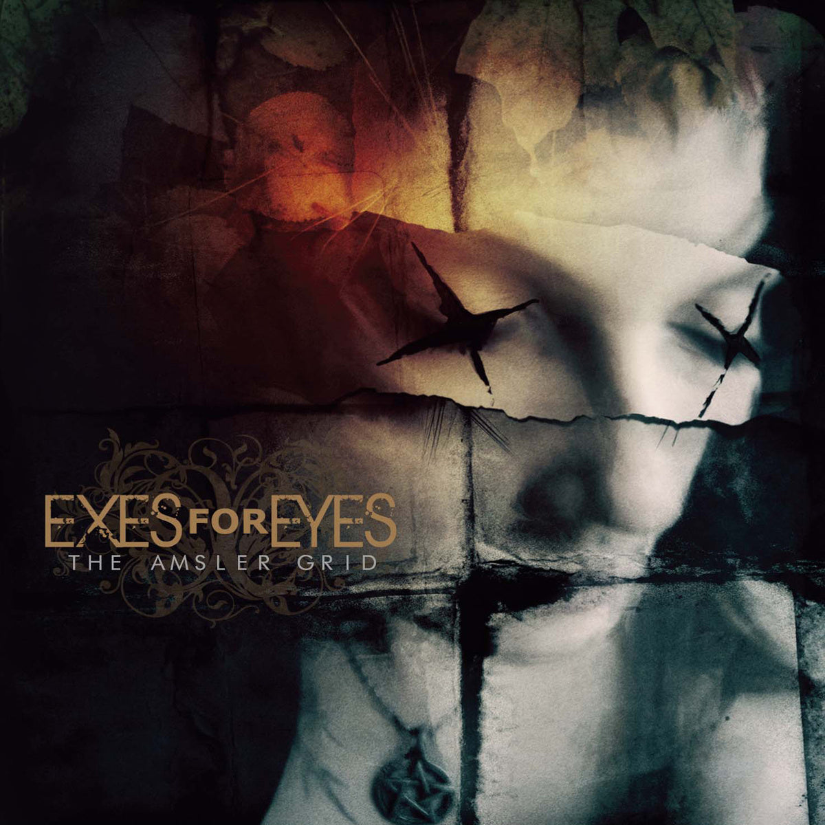 EXES FOR EYES - AMSLER GRID