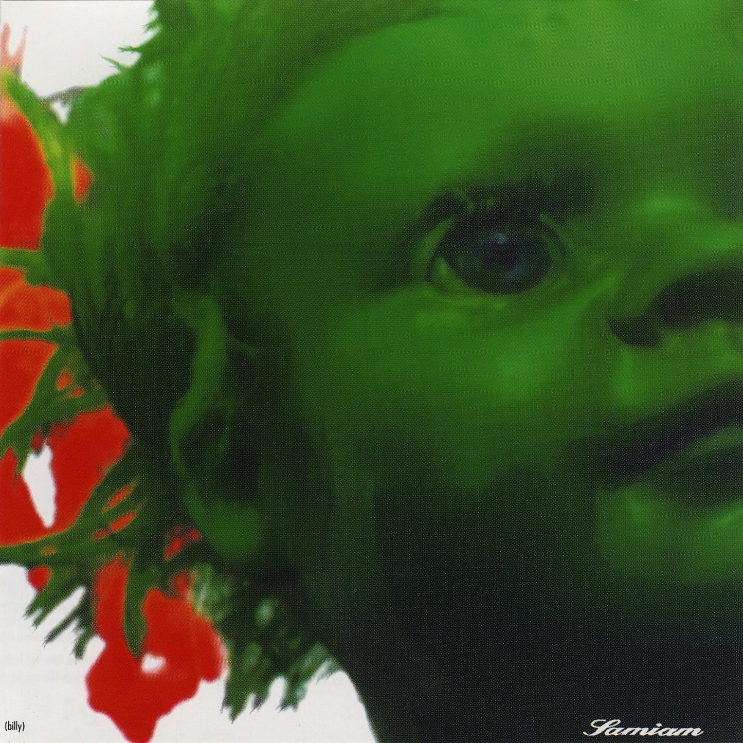 SAMIAM - BILLY