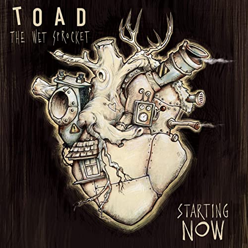 TOAD THE WET SPROCKET - STARTING NOW
