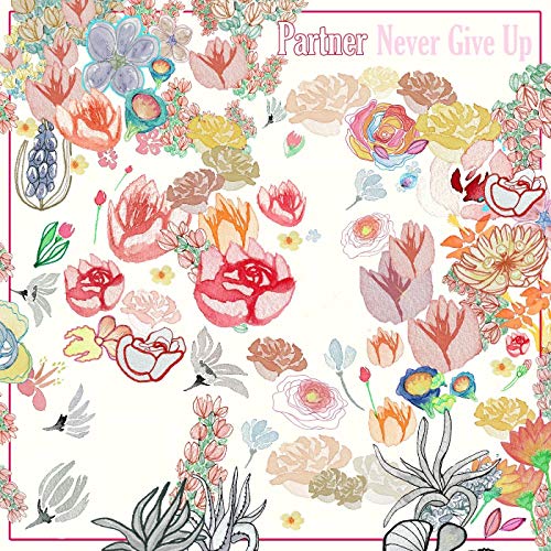 PARTNER - NEVER GIVE UP (CD)