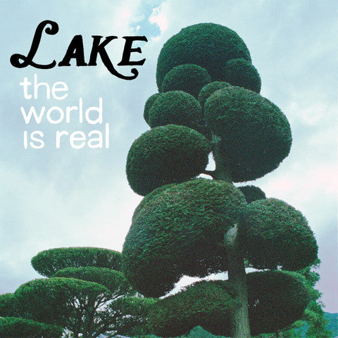 LAKE - WORLD IS REAL