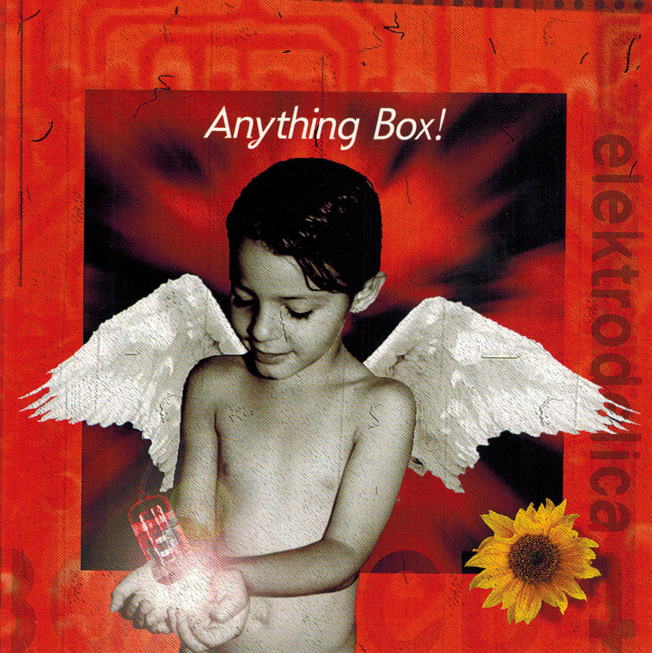 ANYTHING BOX - ELEKTRODELICA
