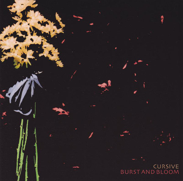 CURSIVE - BURST & BLOOM