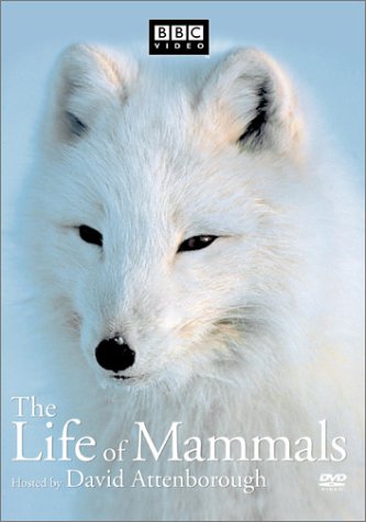 LIFE OF MAMMALS - DVD-VOLUME 2