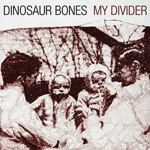 DINOSAUR BONES - MY DIVIDER (VINYL)