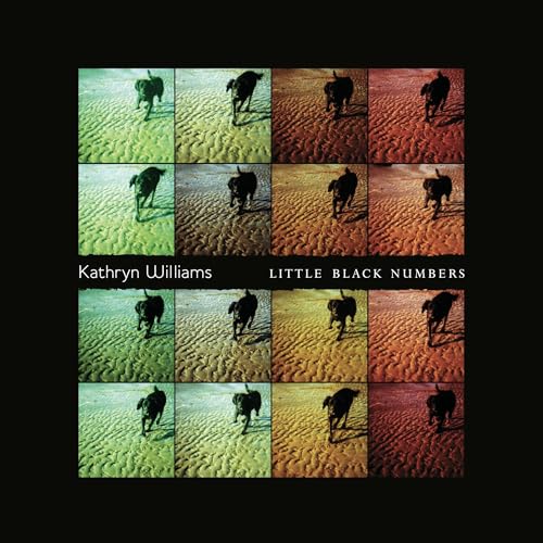 KATHRYN WILLIAMS - LITTLE BLACK NUMBERS (CD)