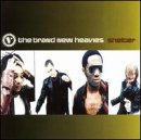 BRAND NEW HEAVIES - SHELTER