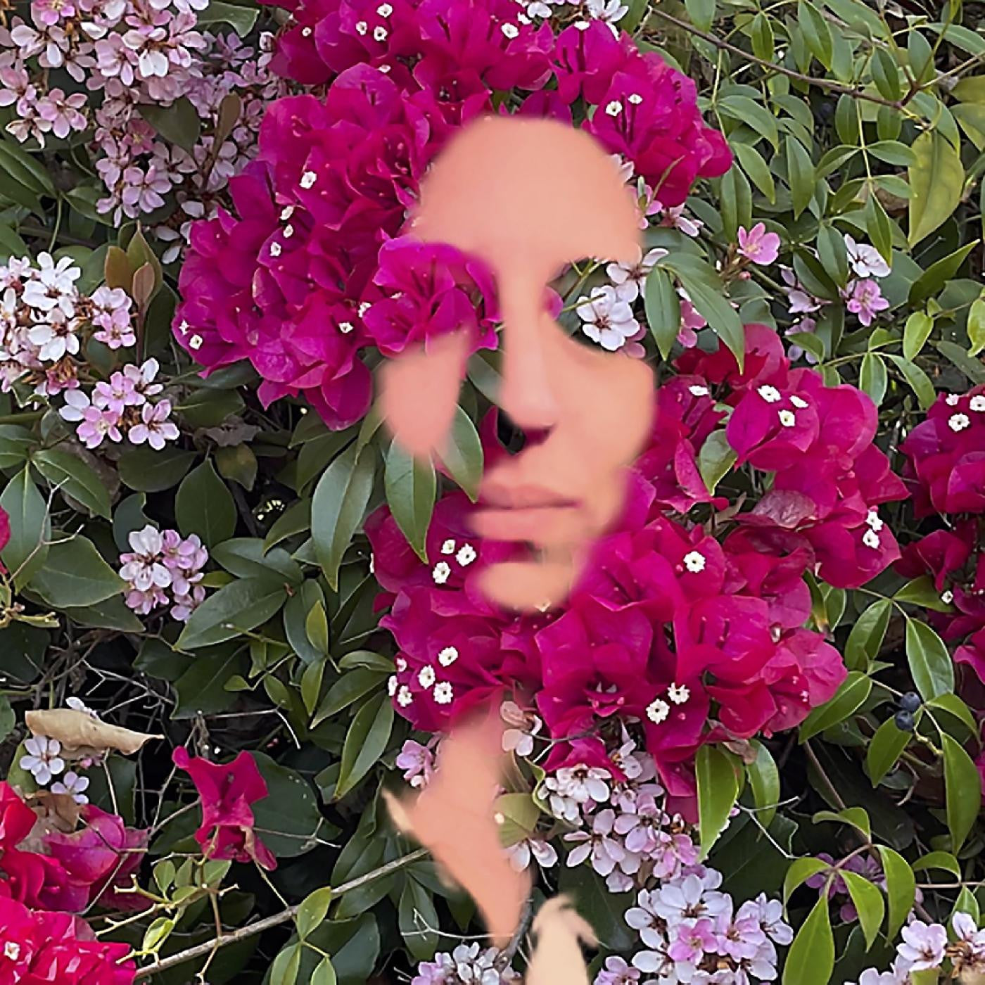 DAISY PRESS - YOU ARE THE FLOWER MUSIC FROM HILDEGARD VON BINGEN VOL. 1